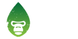 Earthtobody