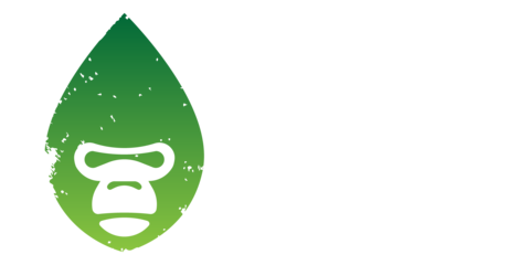 Earthtobody